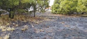 Incendio forestal sobre Ruta 73 demandó ardua tarea de bomberos