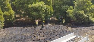 Incendio forestal sobre Ruta 73 demandó ardua tarea de bomberos