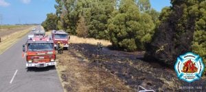 Incendio forestal sobre Ruta 73 demandó ardua tarea de bomberos