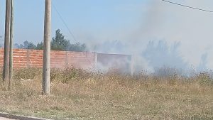 Incendio de gran magnitud movilizó varias dotaciones de Bomberos (videos)