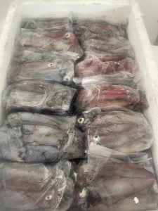 (audio) El Repunte Pesca, un emporio al servicio del pescador