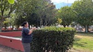 Chaves: Tareas de mantenimiento y cuidado en plaza 25 de Mayo