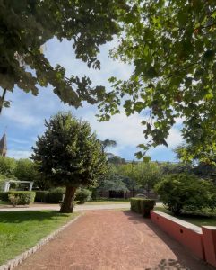 Chaves: Tareas de mantenimiento y cuidado en plaza 25 de Mayo