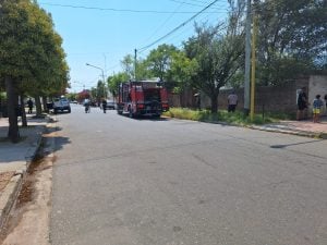 Rápida intervención de los bomberos para controlar el incendio en un terreno (video)