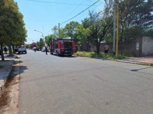 Rápida intervención de los bomberos para controlar el incendio en un terreno (video)
