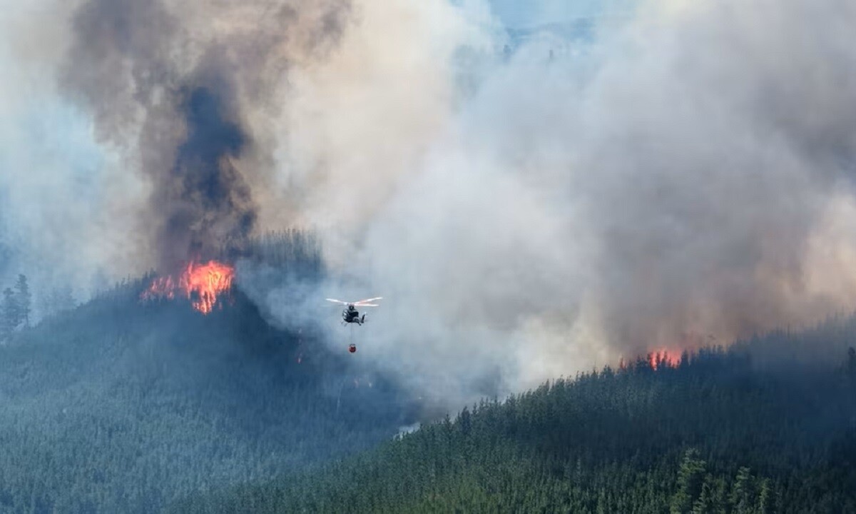 Sigue fuera de control el incendio en Chubut: “La dimensión es muy complicada”