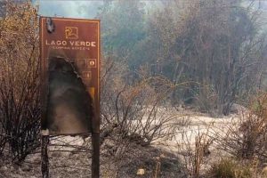 Incendios en la Patagonia: el fuego sigue sin control