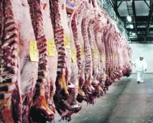 El Gobierno lanzó un sistema integral para la faena bovina y derogó normas