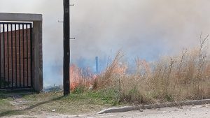 Incendio de gran magnitud movilizó varias dotaciones de Bomberos (videos)
