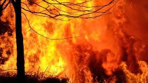 Reunión en el Gobierno: analizarán el pedido de las provincias por los incendios