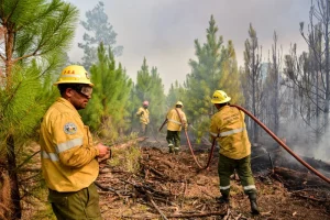 Tres Arroyos aparece como una de las regiones con “riesgo extremo” por incendios