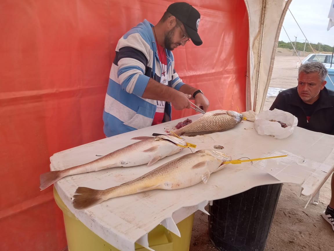 Alejo Cousiño lidera 