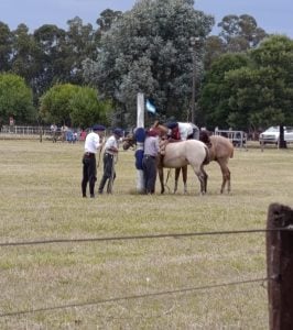 (videos) San Valentín y San Cayetano, unidos en una verdadera Fiesta Gaucha