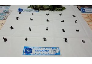 Preso por venta de droga en Necochea. Hubo allanamiento (video)