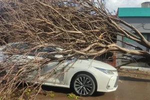 (videos) La Pampa: intensa tormenta causó destrozos en Santa Rosa