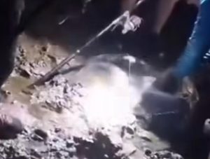 El pescador a quien le descalificaron la pieza reclamará ante la Justicia