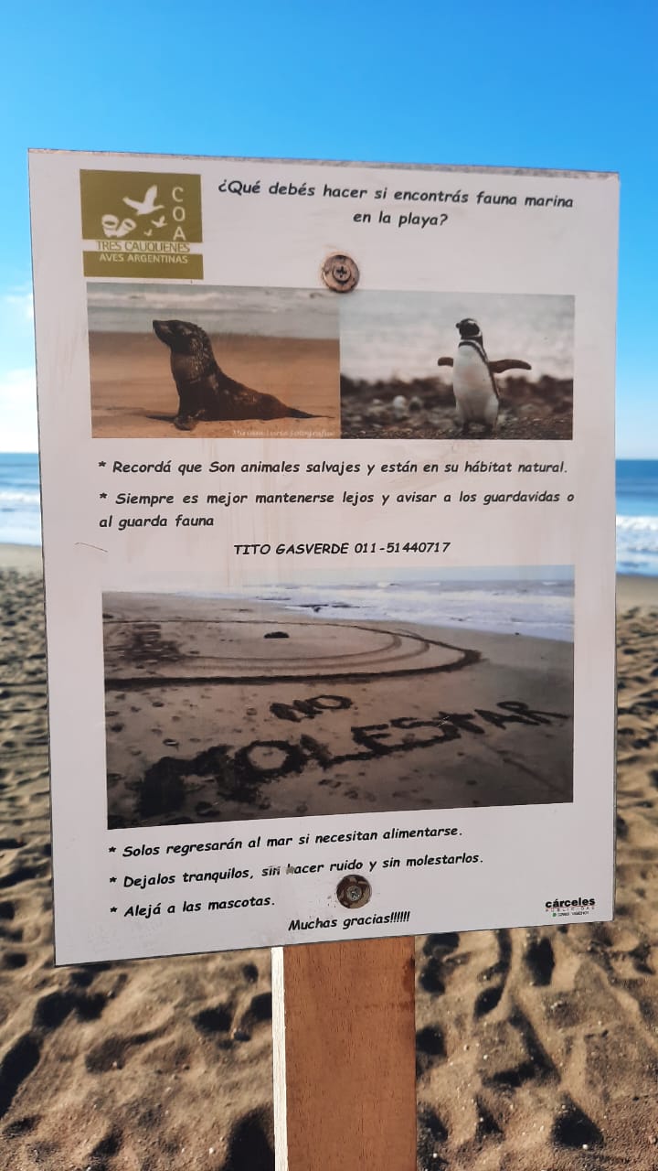 Claromecó: donan carteles para el cuidado de los animales marinos