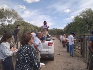 Importante remate de Arzoz y Cia en la feria tresarroyense