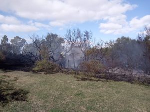 Incendio en Rivadavia al 2000. Bomberos trabajaron para controlar el fuego (video)