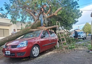 (videos) La Pampa: intensa tormenta causó destrozos en Santa Rosa