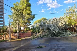 (videos) La Pampa: intensa tormenta causó destrozos en Santa Rosa