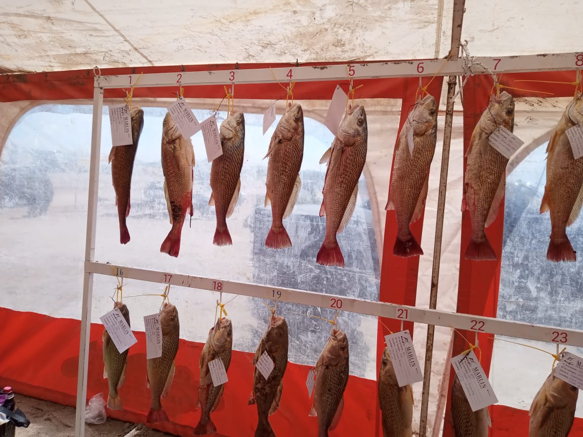 Cambia la punta: Lautaro Arriola el nuevo lider de la general en 