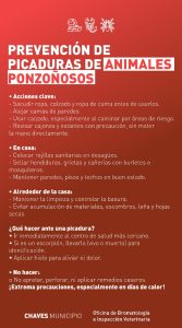 Chaves Municipio: medidas de prevención contra animales ponzoñosos
