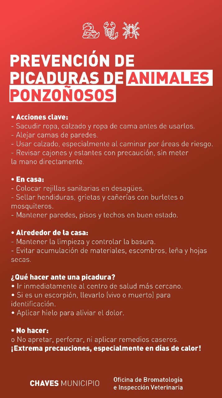 Chaves Municipio: medidas de prevención contra animales ponzoñosos
