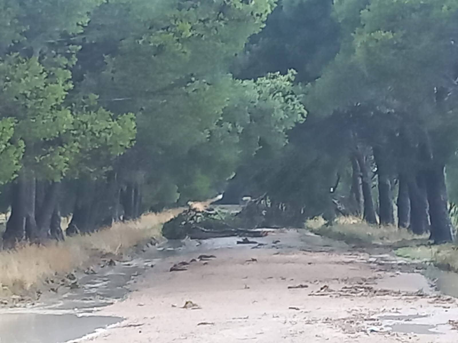 Fuertes vientos y granizo en El Perdido