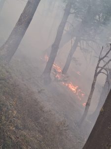 (audio)Roberto Bancur relató la dura experiencia de los Bomberos de Claromecó en Chubut