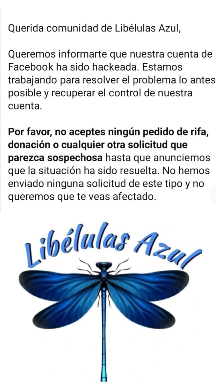 Ciberdelito: Hackearon y eliminaron la página del Grupo Libélulas