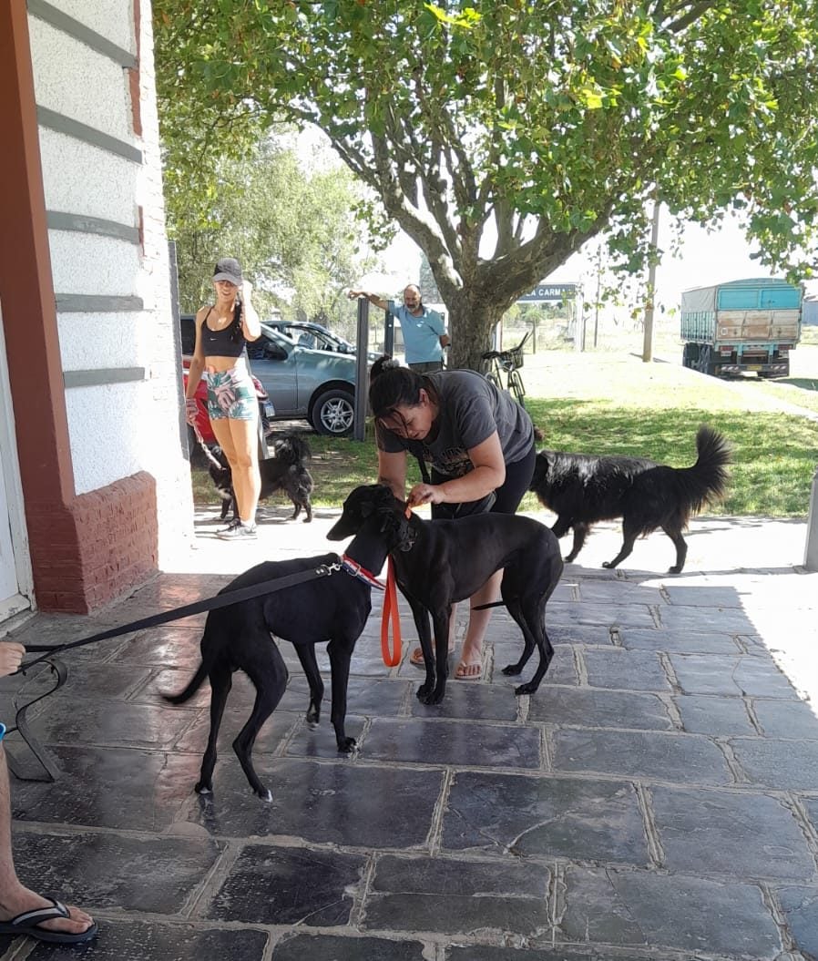 En De La Garma, más de 100 mascotas fueron vacunadas en una nueva jornada antirrábica