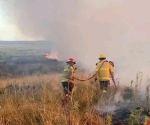 A raíz de un nuevo incendio forestal, los Bomberos de Claromecó ruegan precaución
