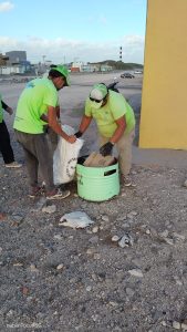 (audio)Civetta: “El equipo de Playas Limpias trabaja para dejar todo ordenado luego de la tormenta”