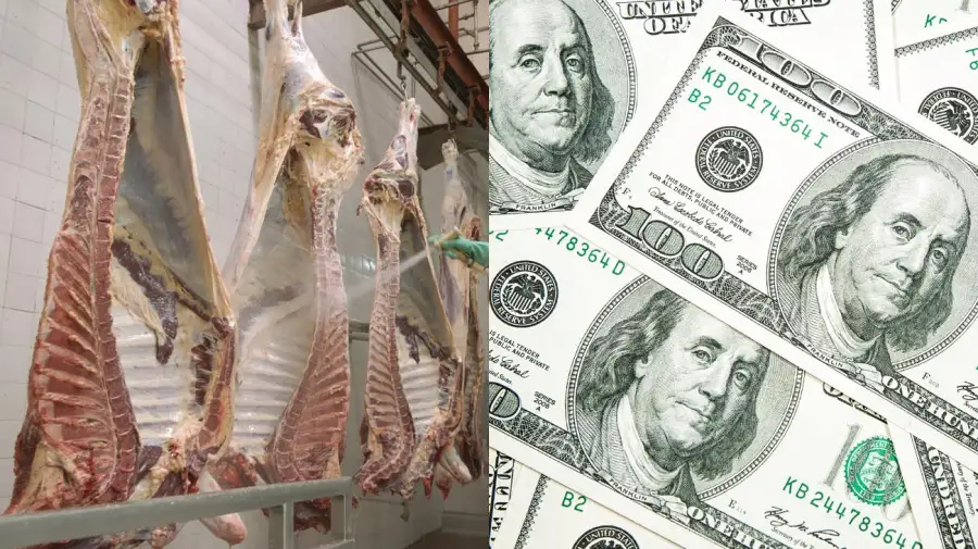 Dólar bajo, carne cara y señales de alerta en la economía real – Carlos  Ordóñez