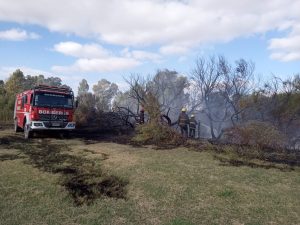 Incendio en Rivadavia al 2000. Bomberos trabajaron para controlar el fuego (video)