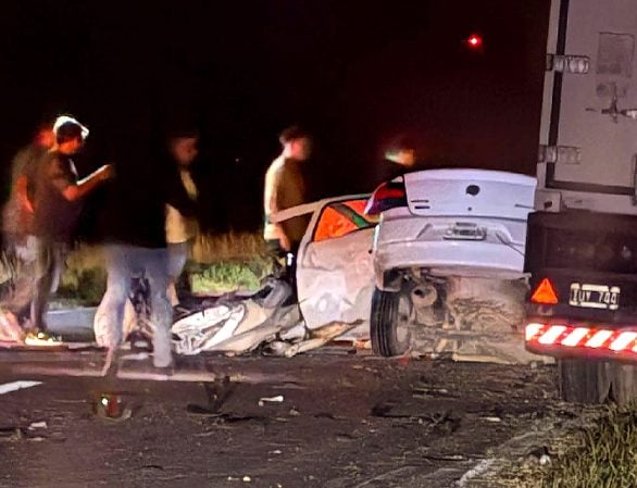 Fatal: atropelló dos carpinchos y se mató contra un camión en Ruta 3