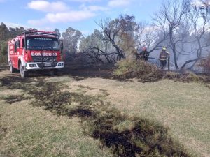 Incendio en Rivadavia al 2000. Bomberos trabajaron para controlar el fuego (video)