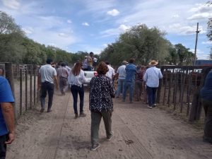 Importante remate de Arzoz y Cia en la feria tresarroyense