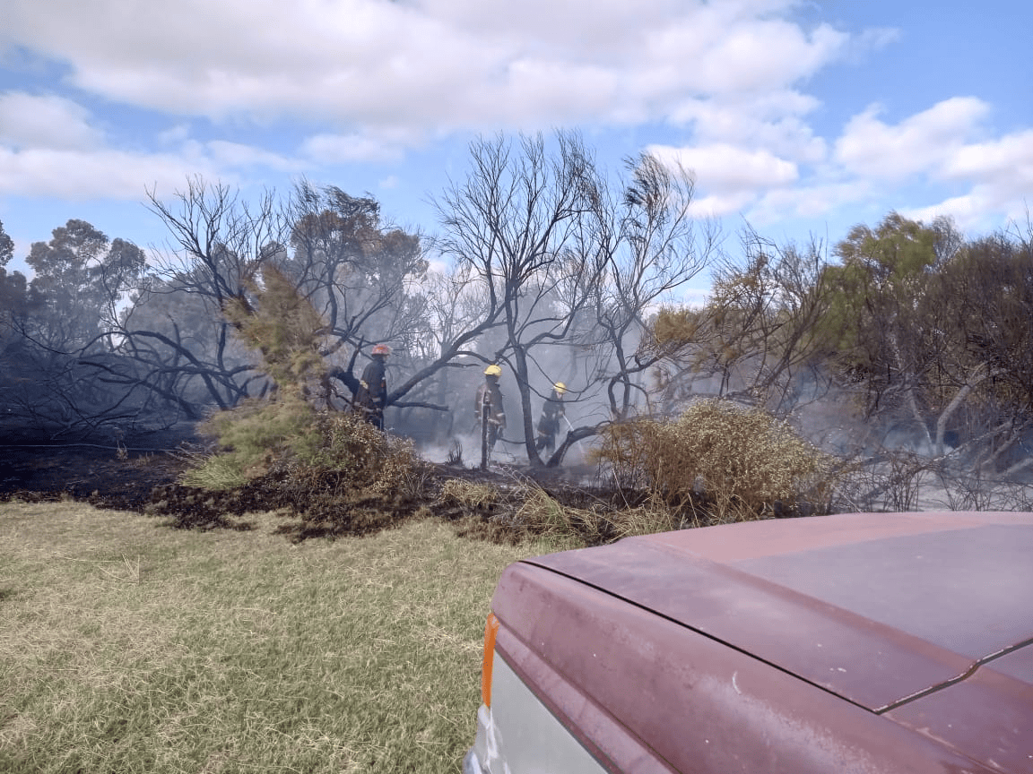 Incendio en Rivadavia al 2000. Bomberos trabajaron para controlar el fuego