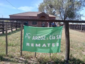 Importante remate de Arzoz y Cia en la feria tresarroyense