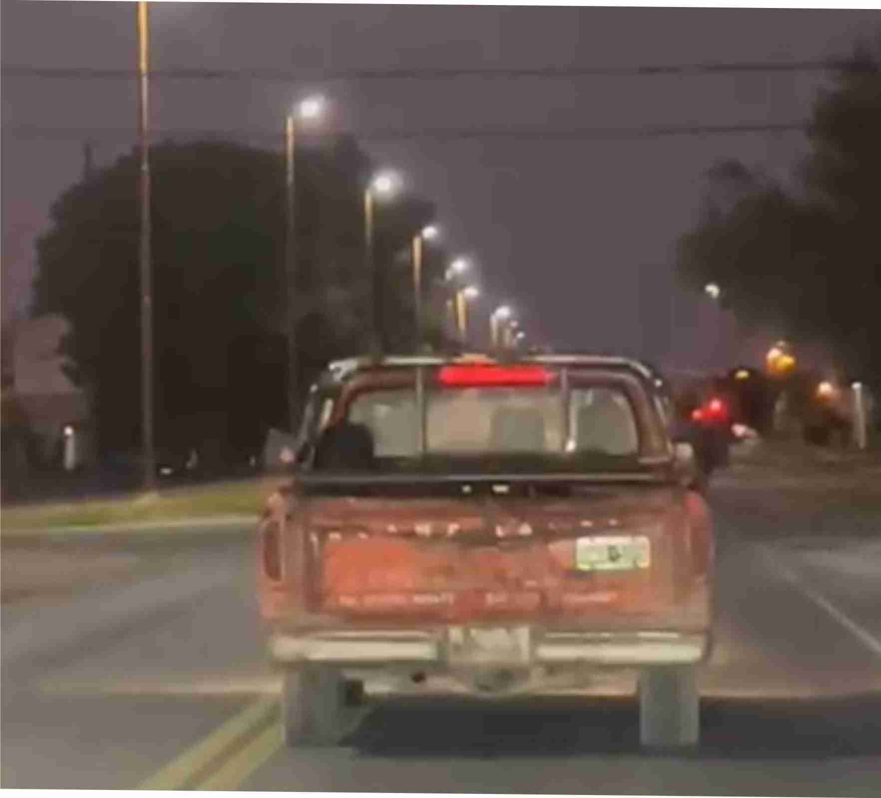 (video) Vecino indignado por falta de control