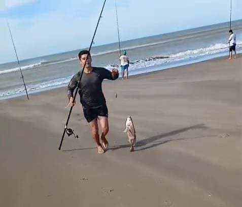 (video) Comienzan a salir las piezas en el concurso de Echegoyen