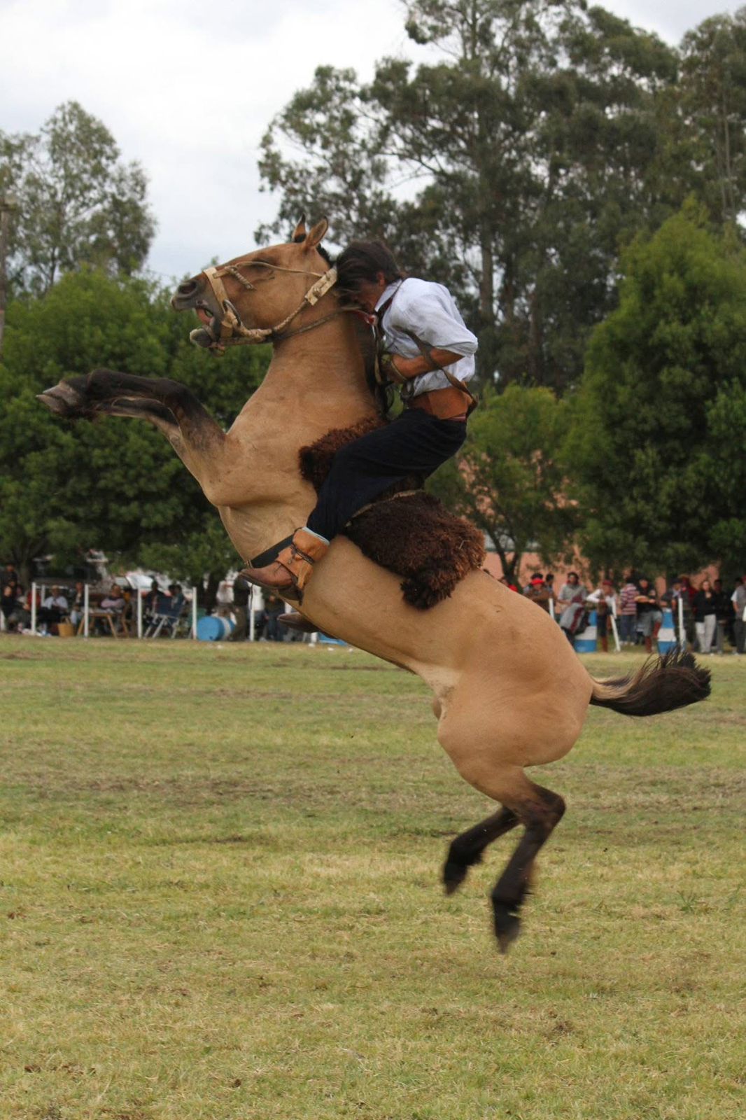 (Audio) San Cayetano: El Fortín Gaucho celebrará sus 75 años con una Gran Fiesta Criolla