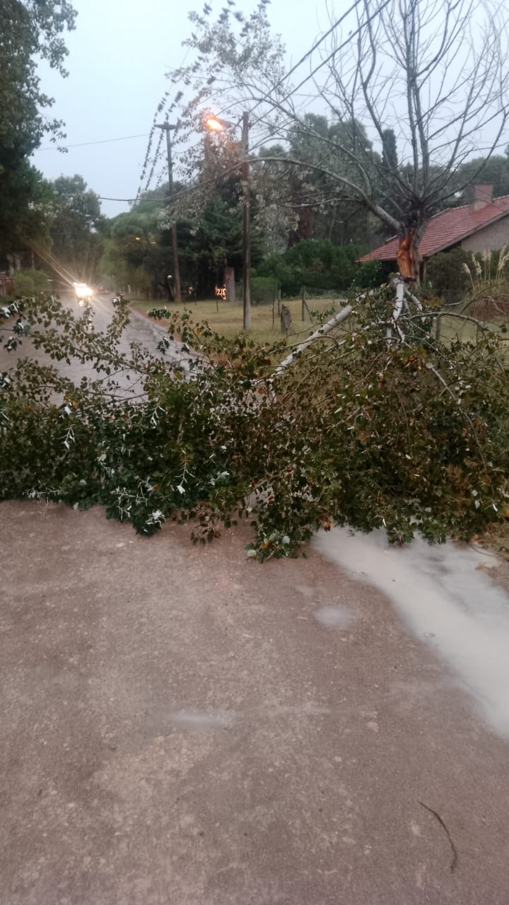 (audio) Diego Zyncenko: “Fue una tormenta fuerte, que nos dejó sin luz una hora”
