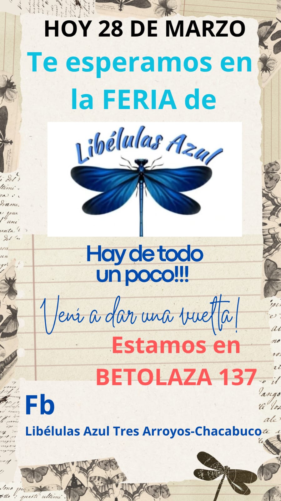 Feria de Libélulas Azul