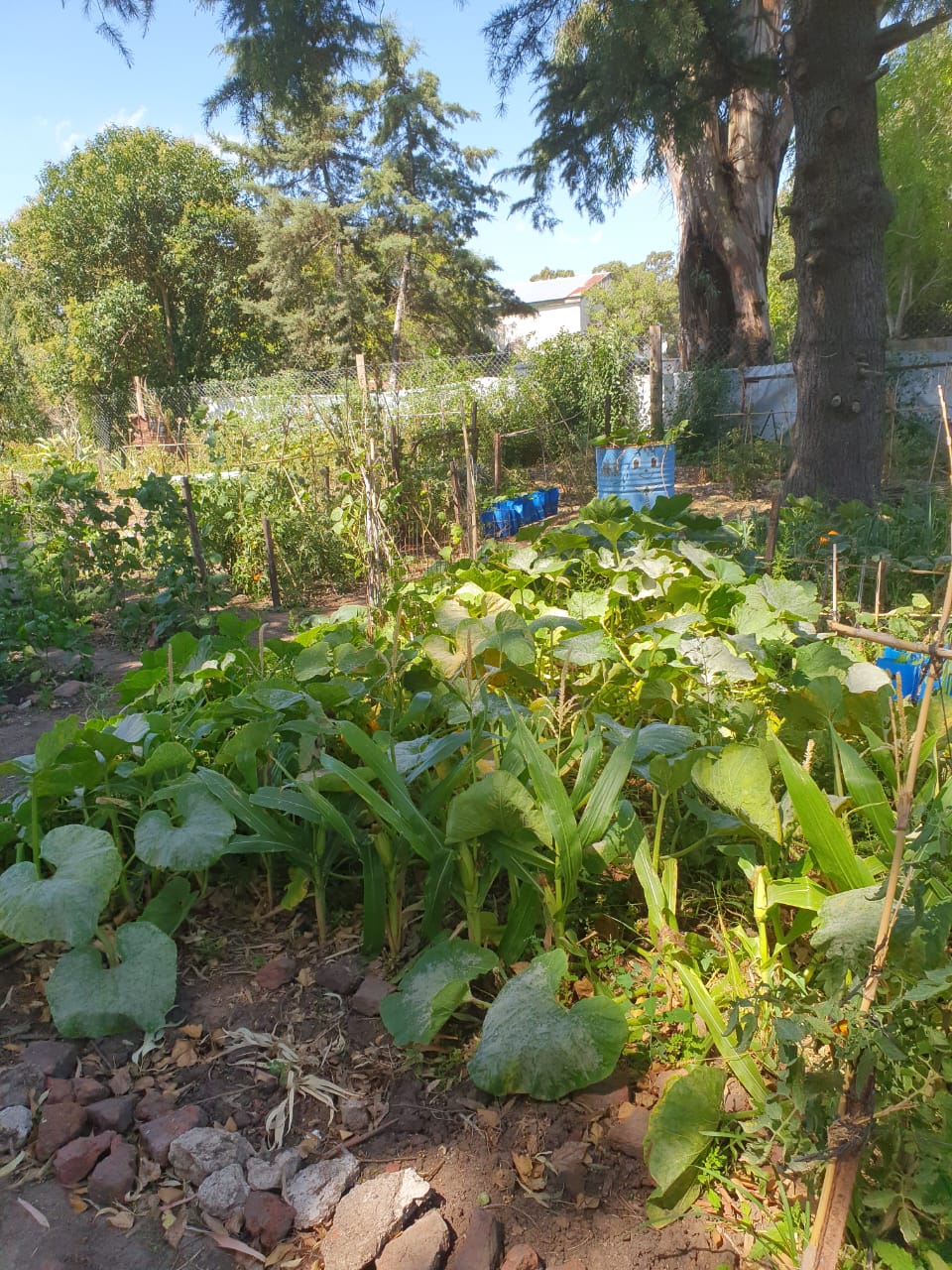 (audio) Encuentro de huerteros en San Mayol: un espacio para sembrar comunidad y saberes
