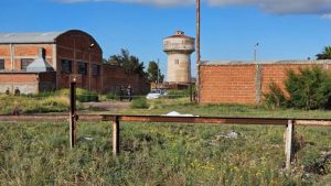 Bahía Blanca: Un hombre murió arrollado por el tren