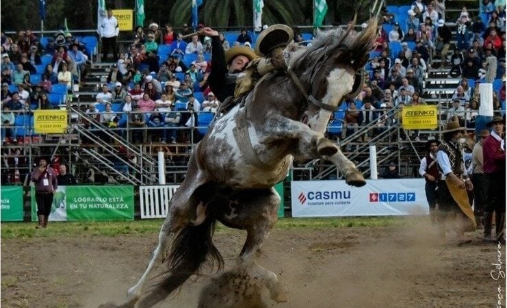 (Audio) Impulsan Proyecto de Ley para proteger institucionalmente a las jineteadas
