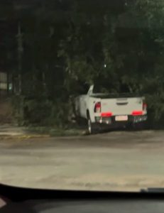 Una camioneta chocó y derribó un árbol en Quintana y Belgrano